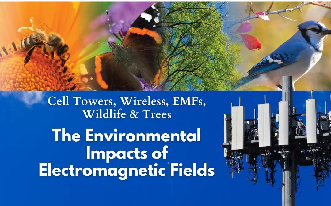 Awareness Note On Mobile Tower Radiation & Its Impacts On Environment