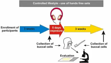 Effect Of Cell Phone Radiation On Buccal Mucosa Cells