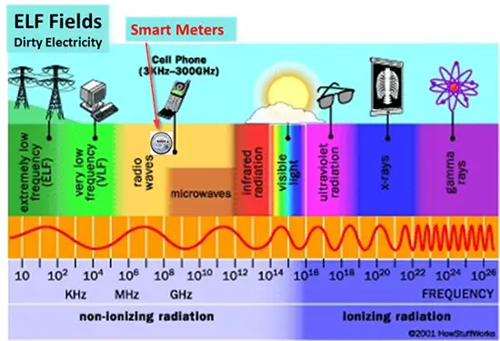 Radio Frequency Radiation And Health: Smart Meter