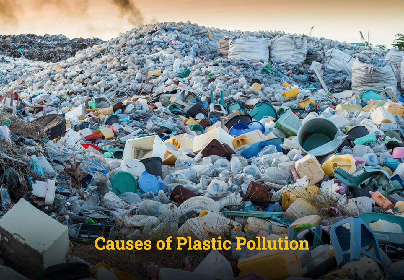 Causes Of Plastic Pollution